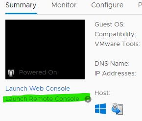 LaunchRemoteConsole